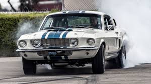 Mustang